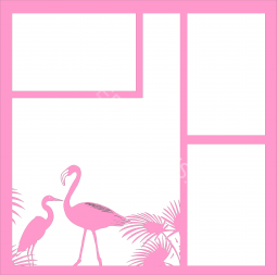 Flamingos