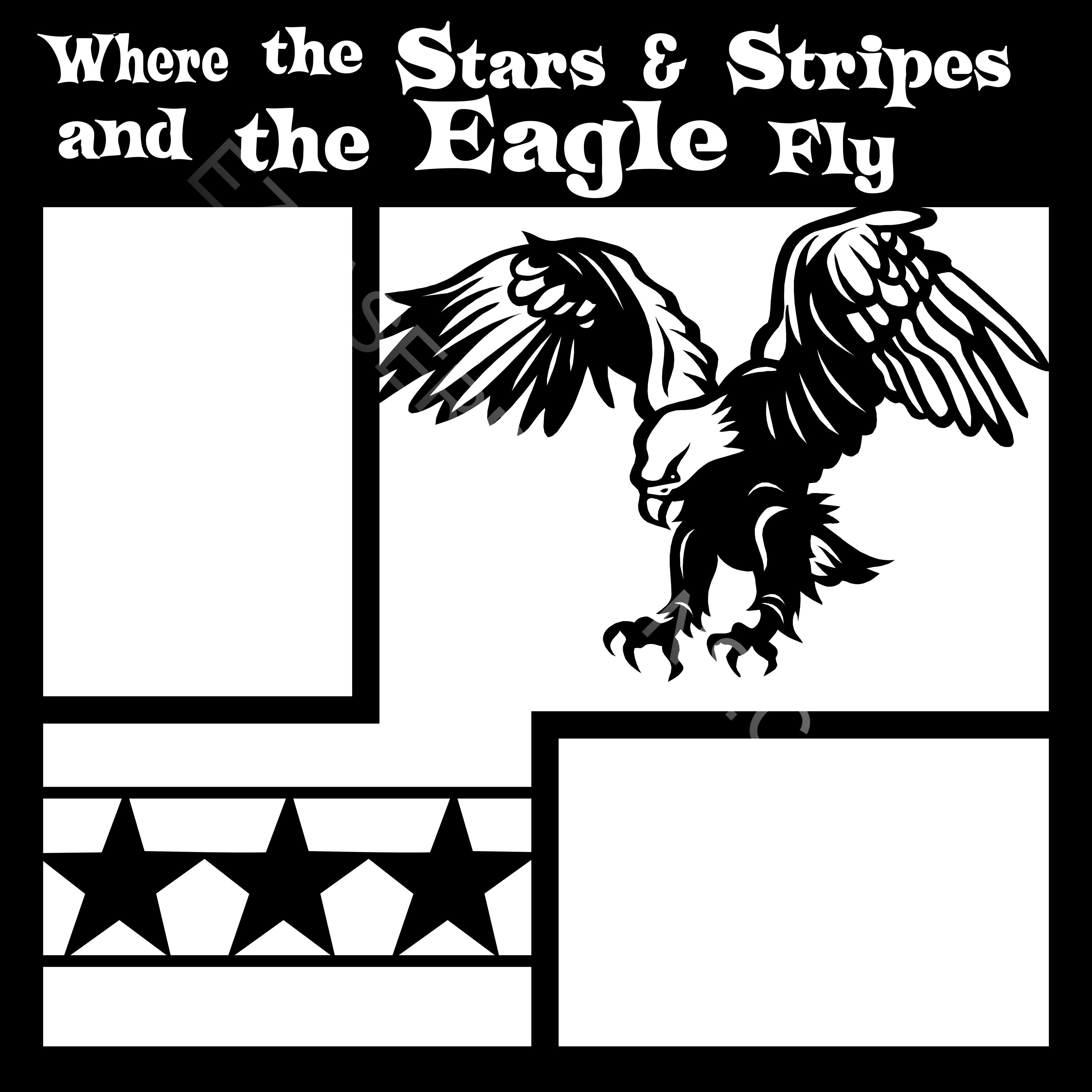 Big Philadelphia Eagles Flag Star and Stripes Line – Best Funny Store